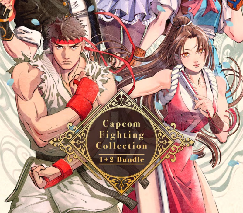 Capcom Fighting Collection 1 + 2 (OTHER)