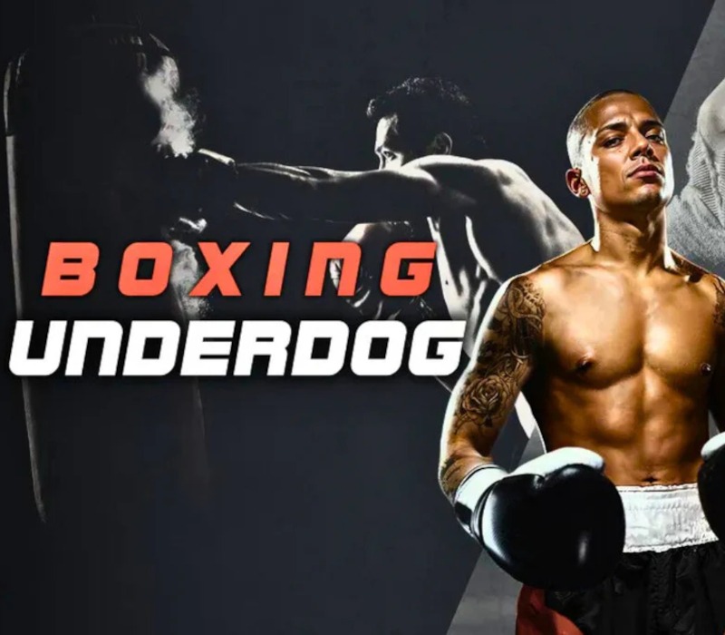 Boxing Underdog Meta Quest Gift