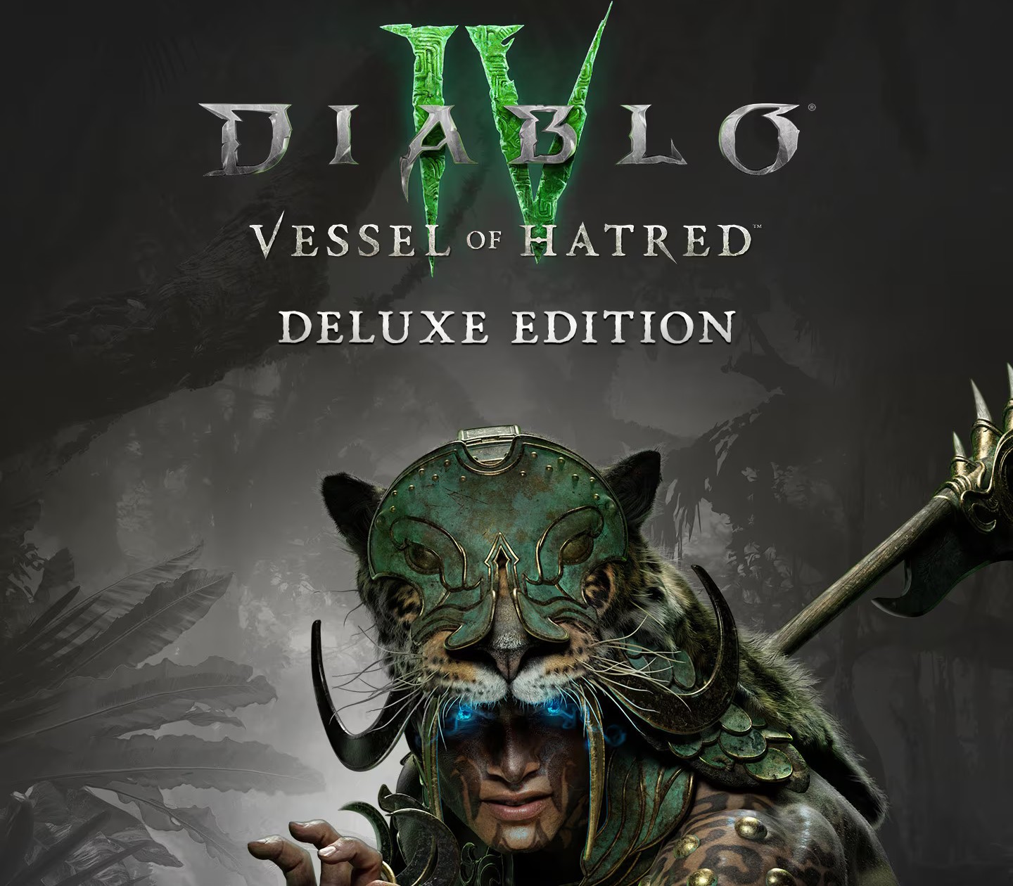 Diablo IV: Vessel of Hatred Deluxe Edition (OTHER)