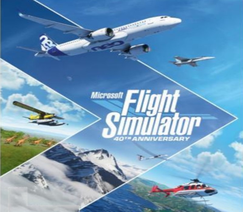 Microsoft Flight Simulator 40th Anniversary (OTHER)