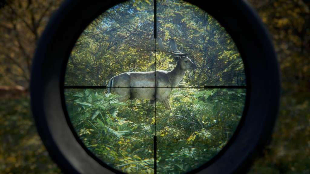 theHunter: Call of the Wild TR (OTHER)